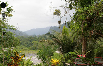 View from the dining room at Tinalandia, Ecuador